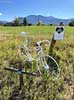bizarre_ghostbikeiPhone15_IMG_14877_s.jpg
