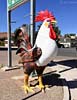 bizarre_chickensiPhone15_IMG_21464_s.jpg