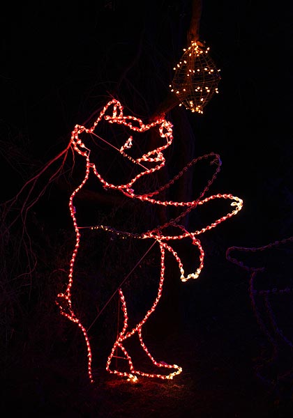 [zoolights_2301.jpg]