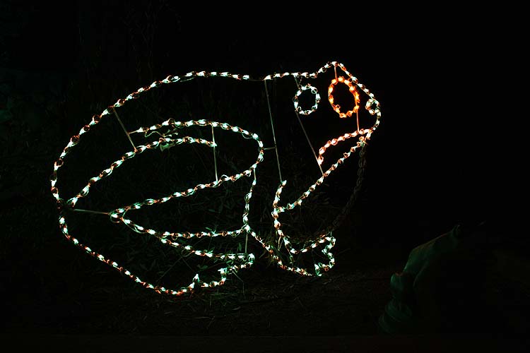 [zoolights_2316.jpg]