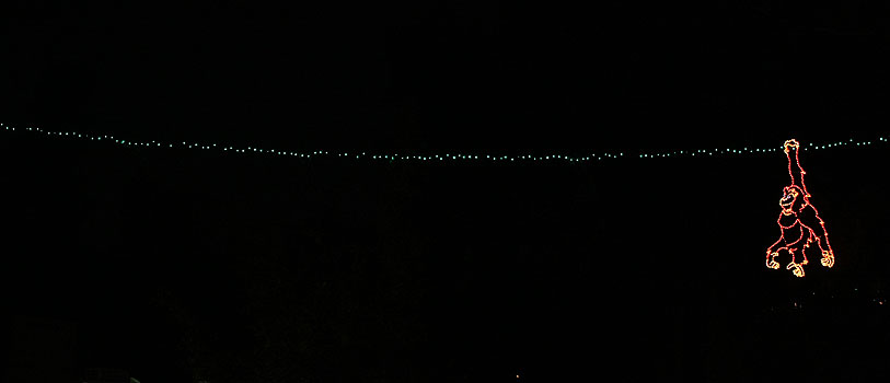 [zoolights_2329.jpg]