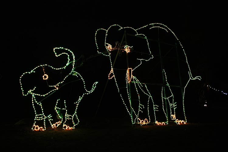 [zoolights_2336.jpg]