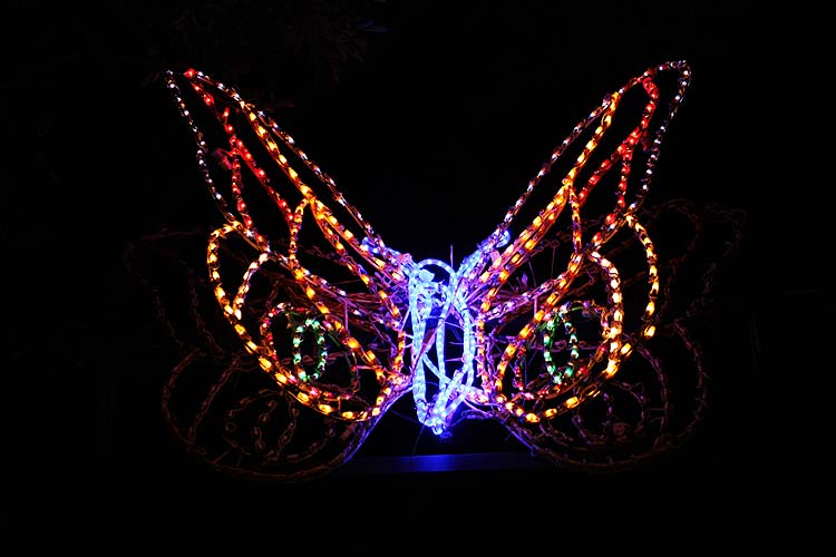 [zoolights_2343.jpg]