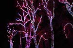 zoolights_2350_s.jpg