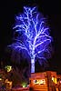 zoolights_2370_s.jpg