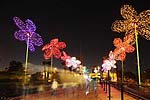 zoolights_2374_s.jpg