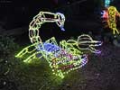 zoolights_SX50_IMG_3177_s.jpg