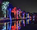 zoolights_SX50_IMG_3213_s.jpg