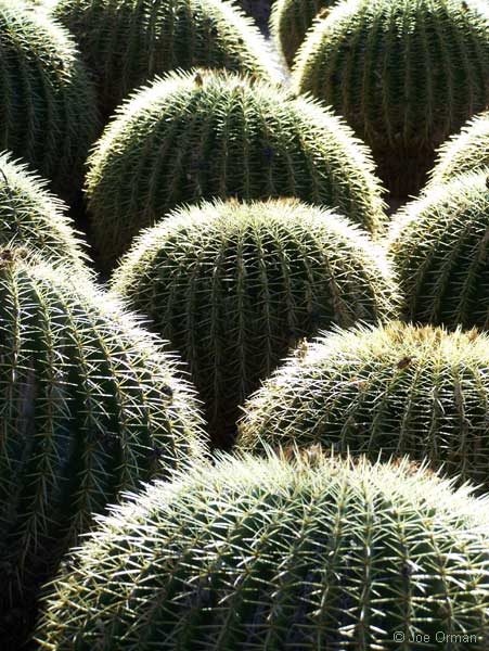 [color_070217_1783.jpg]