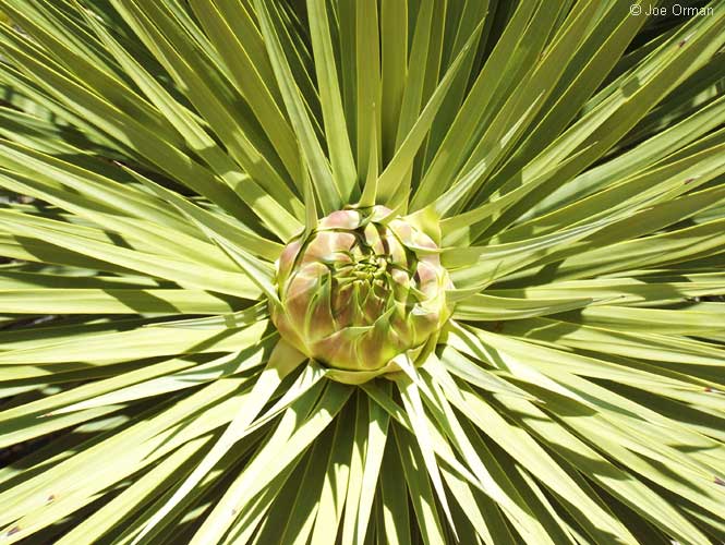 [color_070310_1927.jpg]