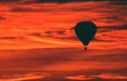 [color_balloon2_m.jpg]