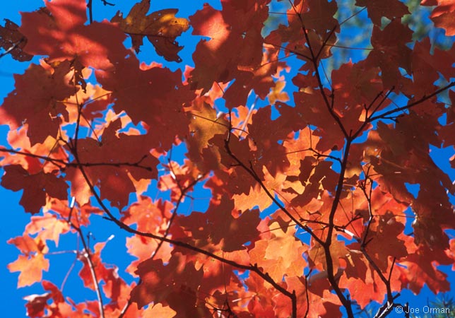 [color_oakcreek1.jpg]