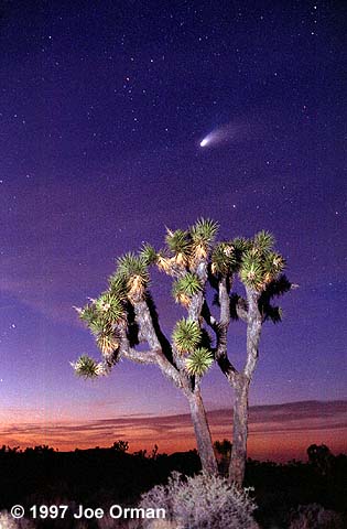 [hale-bopp_970405_35a.jpg]