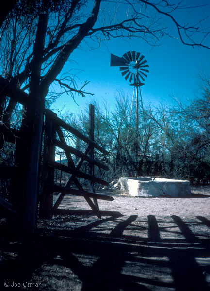 [ghosts_bonitawell.jpg]