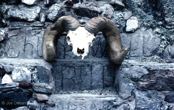 [ghosts_chuckawalla1.jpg]