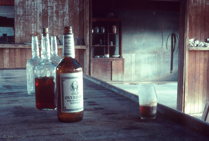 [ghosts_vulture2.jpg]