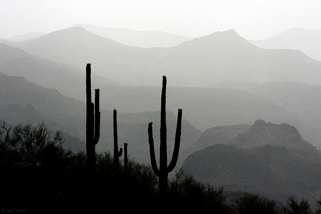 [landscapes_bartlett.jpg]