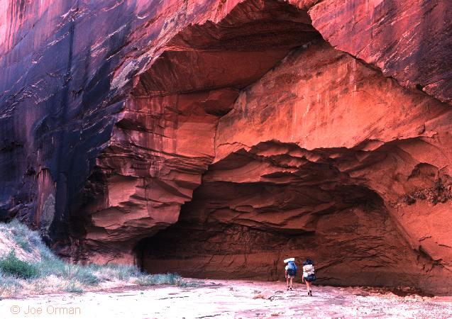 [landscapes_buckskin1.jpg]