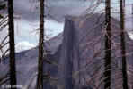 landscapes_halfdome_s.jpg
