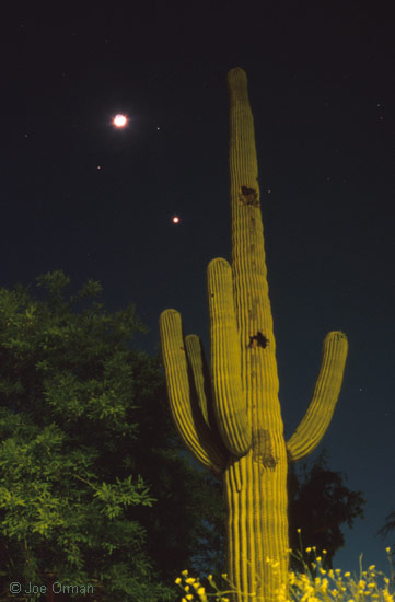 [planets_040423_32.jpg]