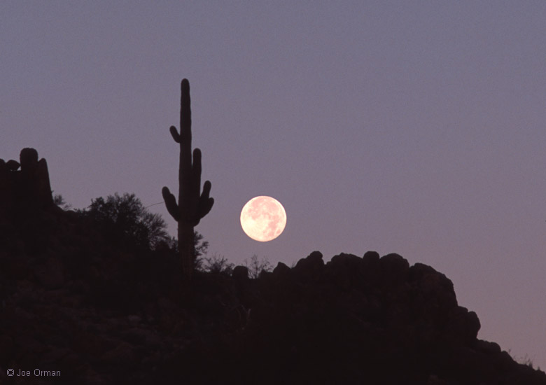 [planets_041127_33.jpg]