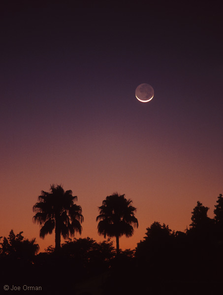 [planets_080308_20.jpg]