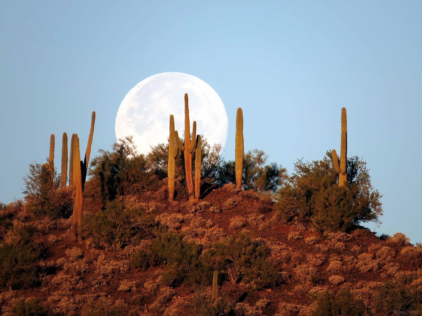 [planets_141207_SX50_IMG_0628.jpg]