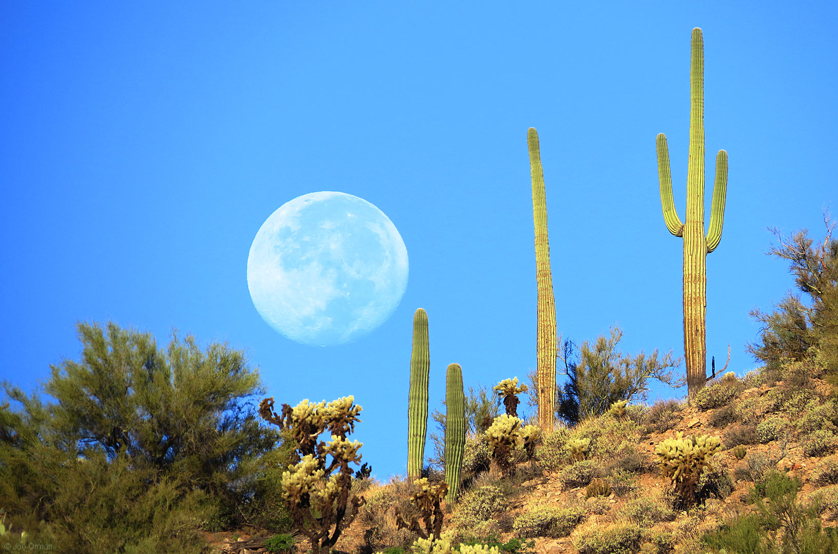 [planets_160918_SX50_IMG_5778.jpg]