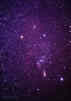 stars_02_s.jpg