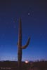 stars_060316_05_s.jpg