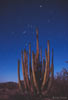 stars_060316_09_s.jpg