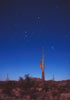 stars_060316_10_s.jpg