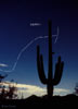 stars_070825_03_labeled_s.jpg