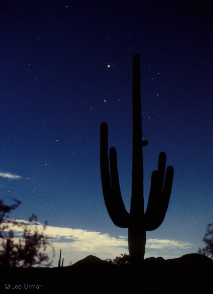 [stars_070825_03_unlabeled.jpg]
