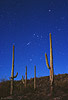 stars_08_s.jpg