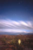 stars_09_s.jpg
