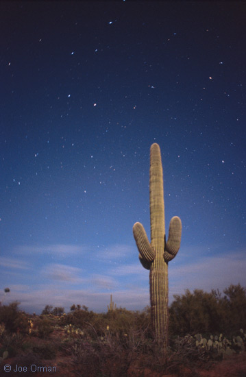 [stars_10.jpg]