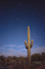 stars_10_s.jpg