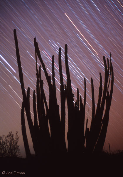 [trails_070315_31.jpg]